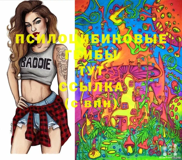 стаф Балахна