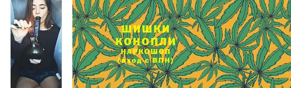 шишки Балабаново