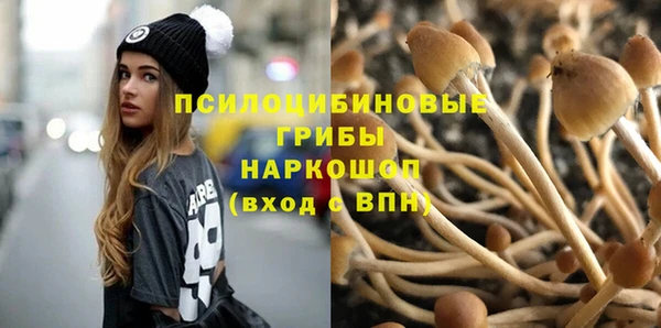 стаф Балахна