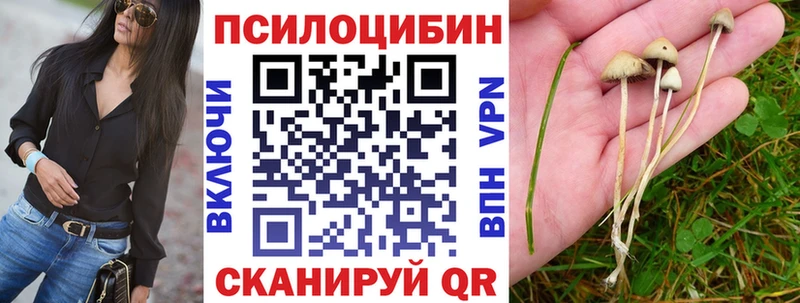 Галлюциногенные грибы прущие грибы  наркошоп  MEGA маркетплейс  Буинск 
